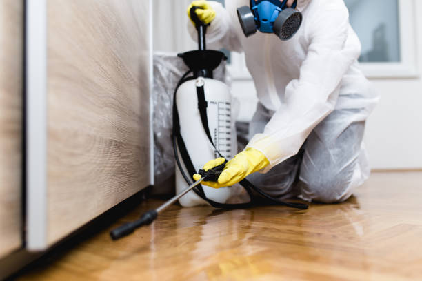 Best Exterminator Services  in Mount Pleasant, UT