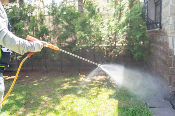 Best Ant Control Services  in Mount Pleasant, UT